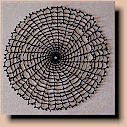 Spider Web Doily $3.00