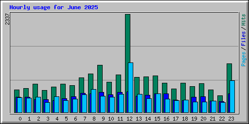 Hourly usage for June 2025