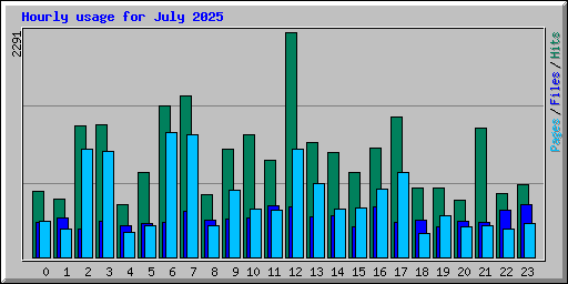 Hourly usage for July 2025